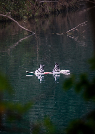 Barton Springs Feb 201820180223_0157