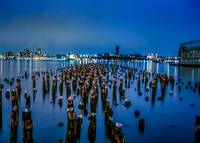 Birds on East River NYC (2)-Edit-Edit