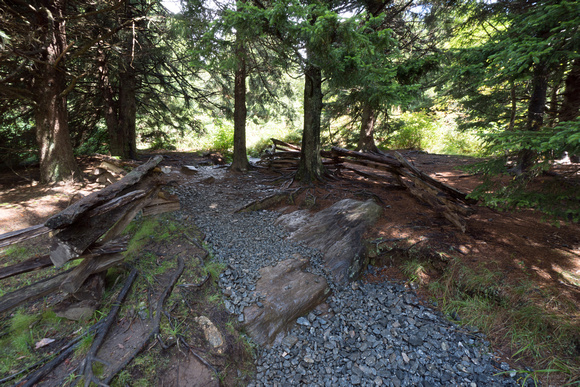 Art Loeb Trail AB Aug 2017001