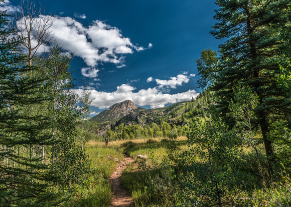 Purgatory Flats Trail 202108281_DSC7858