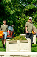 Maple Springs Vineyard Pick Sept 30, 2023 ZF (11 of 185)