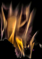 Fire Shots _0003