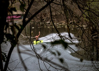 Austin Barton Springs Town Lake Misc Pics