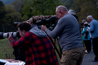 Elk Cataloochee Oct 201910142019_0151