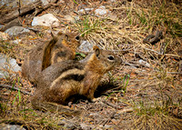 Durango Condo April 2022162_DSC7665-Edit